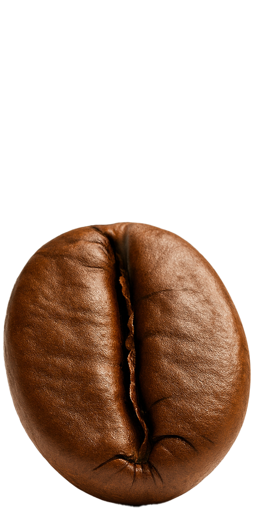 عکس سایز کوچک از بادام زمینی کره گیری