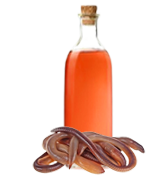 روغن خراطین